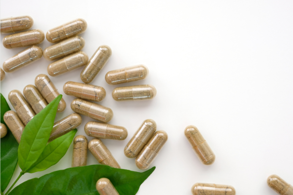 Which Supplements Are Useful for Horses — And Why They Matter