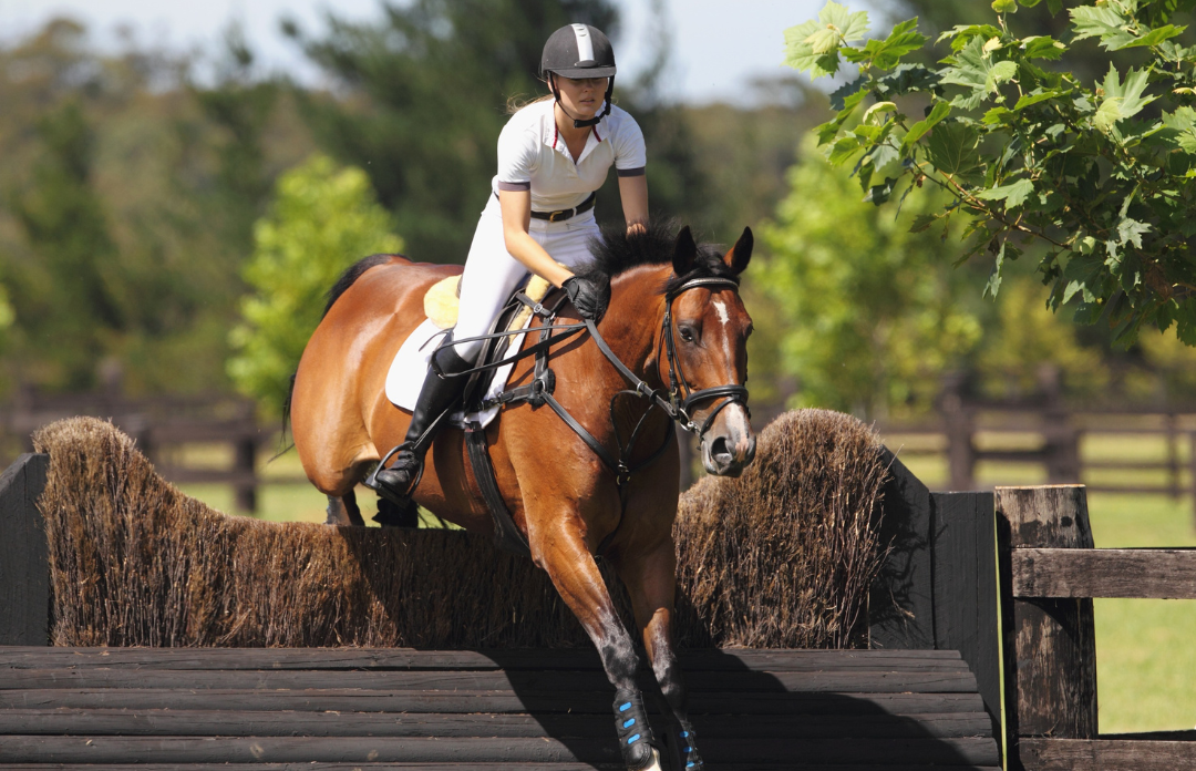 New to Riding? These 10 Tips Will Help You Start Strong.