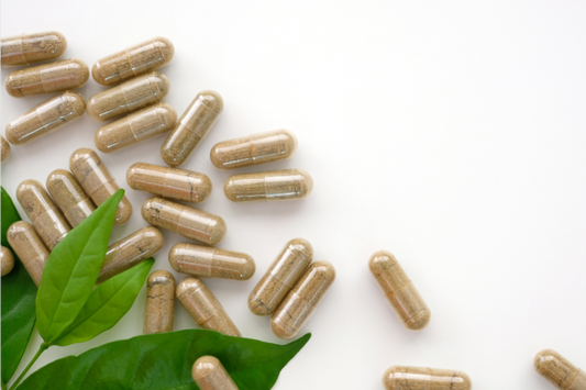 Which Supplements Are Useful for Horses — And Why They Matter